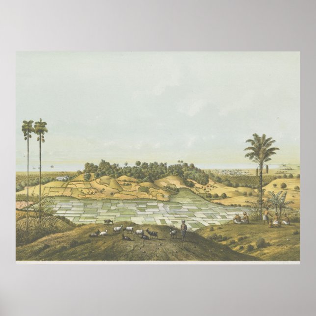 Côte nord près de Semarang Affiche (Devant)