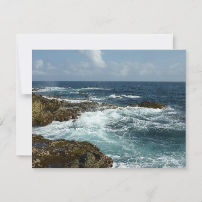 Côte rocheuse d'Aruba et océan bleu (Devant)