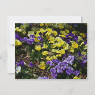 Coteau de panneaux violets et jaunes