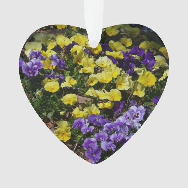 Coteau de panneaux violets et jaunes (devant)