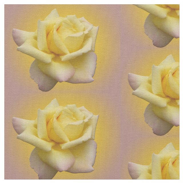Coton de tissu de rose jaune de tissu ou poly rose (Fermer)
