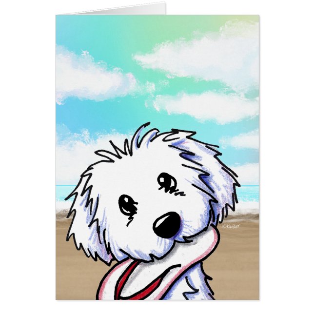 Coton de Tulear (Devant)