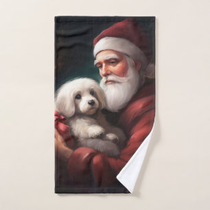 Coton De Tuléar Avec Le Père Noël De Noël