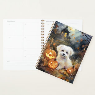 Coton De Tulear Halloween Avec Peur Citrouille