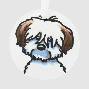 Coton tricolore de Tulear Face