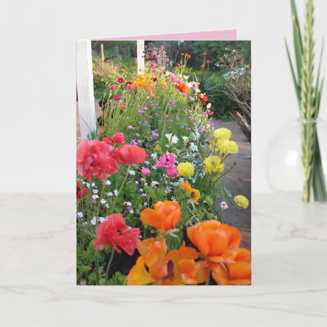 Cottage Garden Smile Rose Rannunculus carte floral (Devant)
