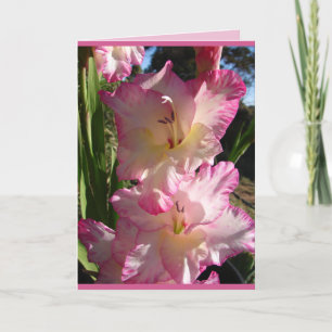 Cottage Jardin rose Gladioli fleurs carte fleurie