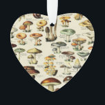 Cottagecore Champignons Naturaliste Vintage<br><div class="desc">Cottagecore Champignons Naturaliste Vintage</div>