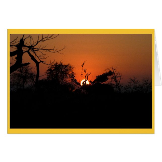 Couché de soleil de Kudu (Devant horizontal)