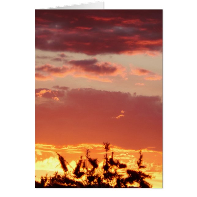 Coucher de soleil à Canberra, Australie. (Devant)