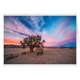 Coucher de soleil à Mojave