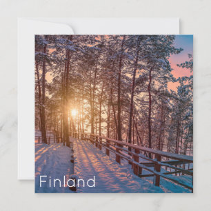 Coucher de soleil dans la pinède enneigée avec ray