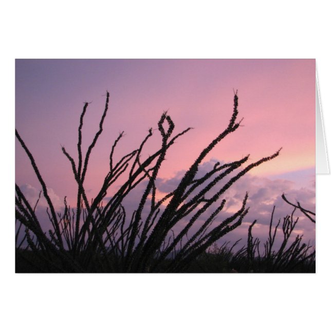 Coucher de soleil dans les lavandes (Devant horizontal)