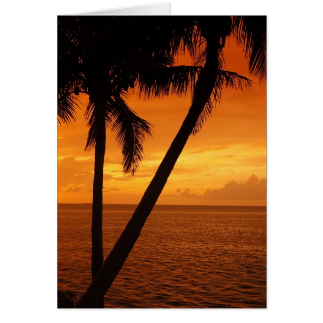 Coucher de soleil de Florida Key (Devant)