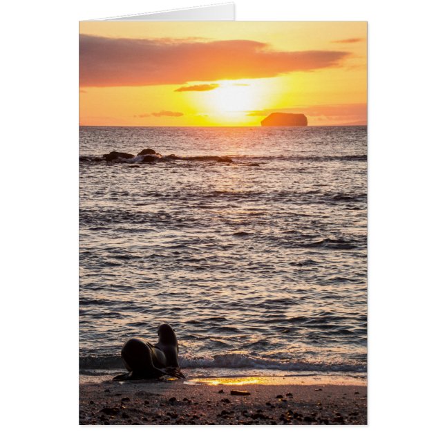 Coucher de soleil de l'îlot des moustiques (Devant)