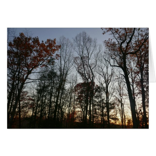 Coucher de soleil de novembre (Devant horizontal)
