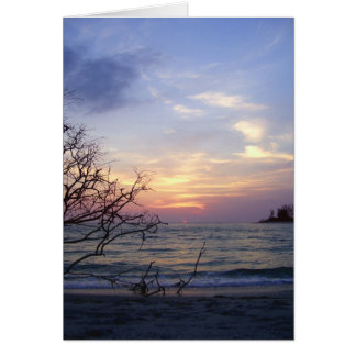 Coucher de soleil de Palm Island 1