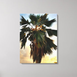 Coucher de soleil de palme tropical - Impression d