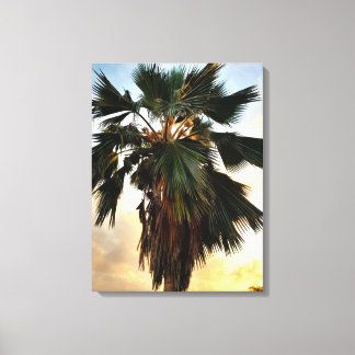 Coucher de soleil de palme tropical - Impression d