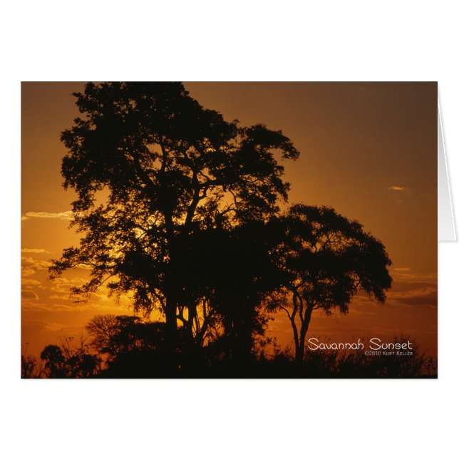 Coucher de soleil de Savannah (Devant Horizontal)