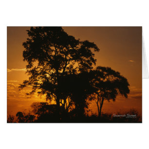 Coucher de soleil de Savannah