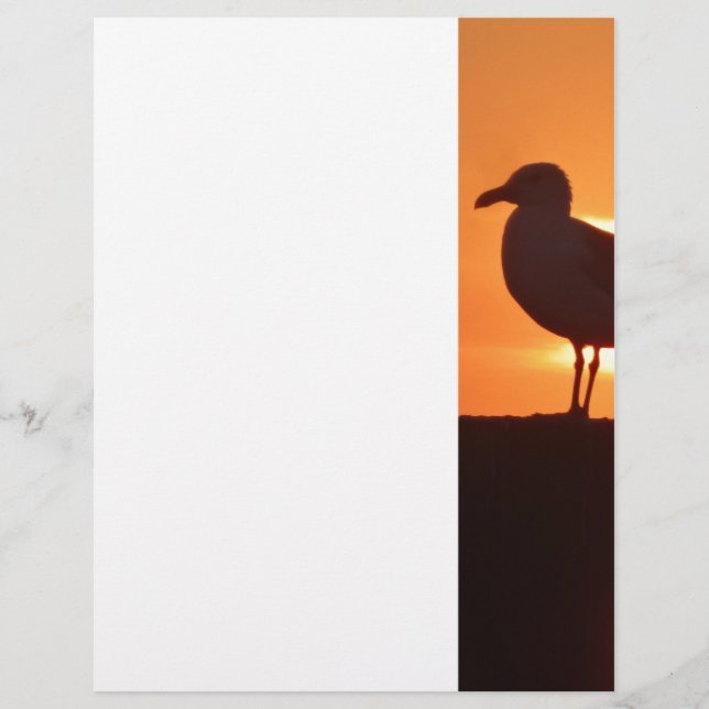 Coucher de soleil de Seagull (Devant)