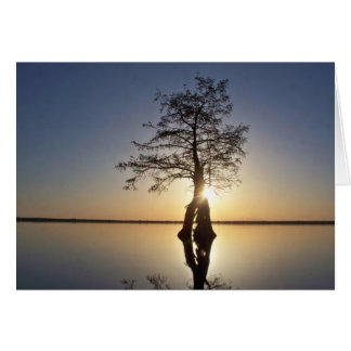 Coucher de soleil derrière un arbre