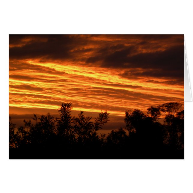 Coucher de soleil d'été à Canberra (Devant horizontal)