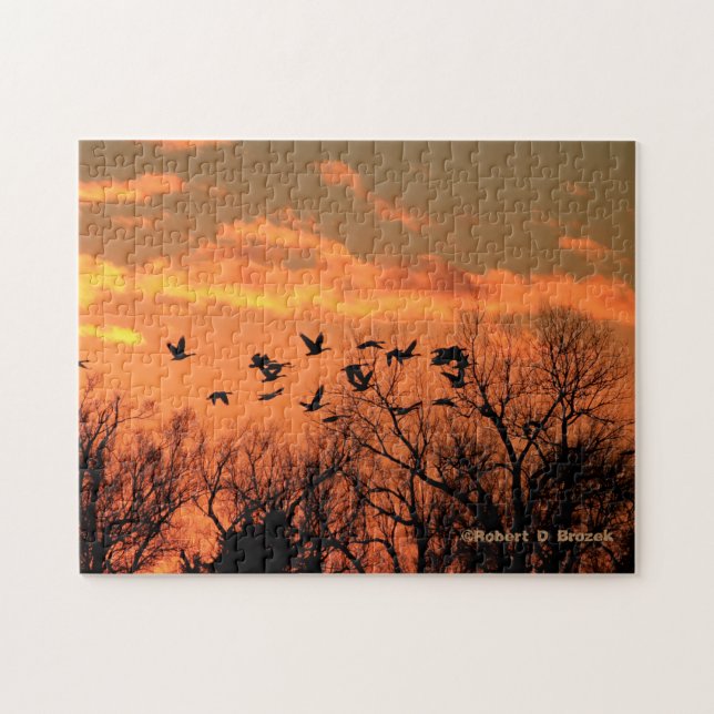 Coucher de soleil du Kansas avec puzzle d'oies can (Horizontal)