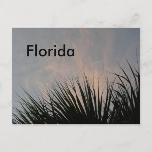 Coucher de soleil en Floride - Carte postale
