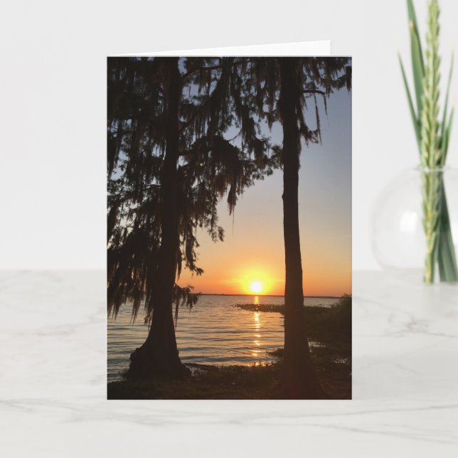 coucher de soleil et carte de voeux de mousse espa (Devant)