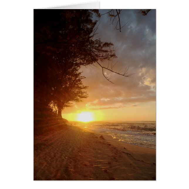 Coucher de soleil hawaïen (Devant)