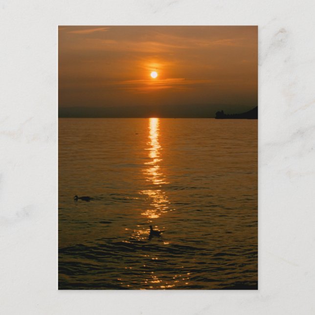 Coucher de soleil Montreux Carte postale (Devant)