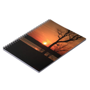 Coucher de soleil orange et Carnet d'arbres
