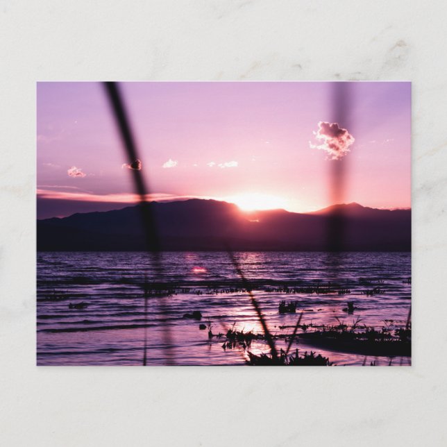 Coucher de soleil sur la carte postale du lac Utah (Devant)