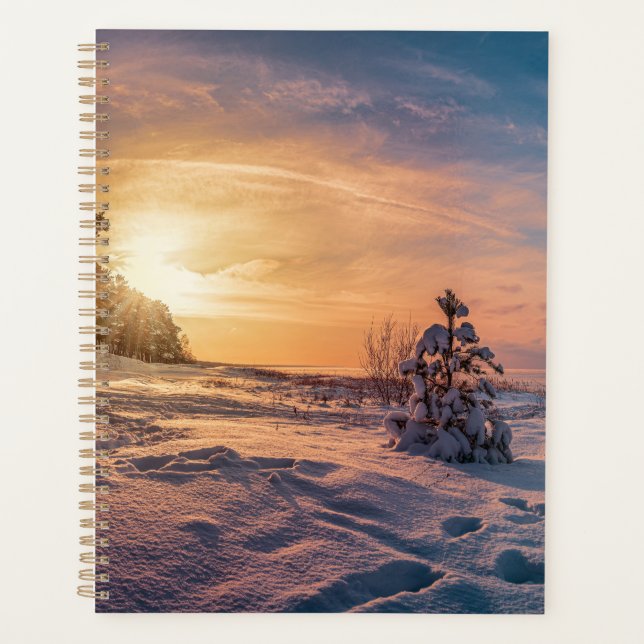 Coucher de soleil sur la côte de la mer d'hiver (Devant)