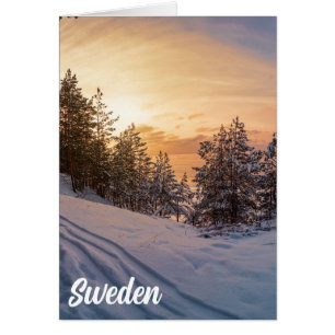 Coucher de soleil sur la forêt gelée de neige près