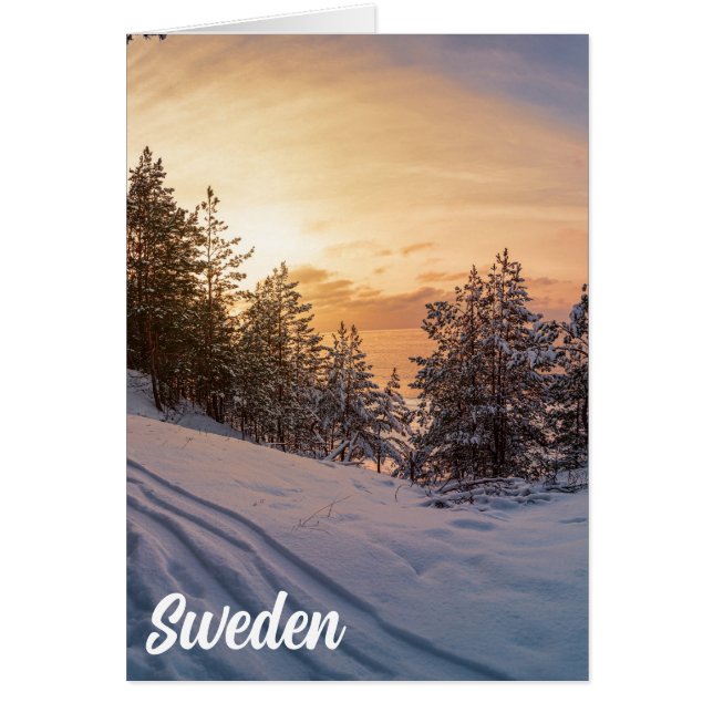 Coucher de soleil sur la forêt gelée de neige près (Devant)
