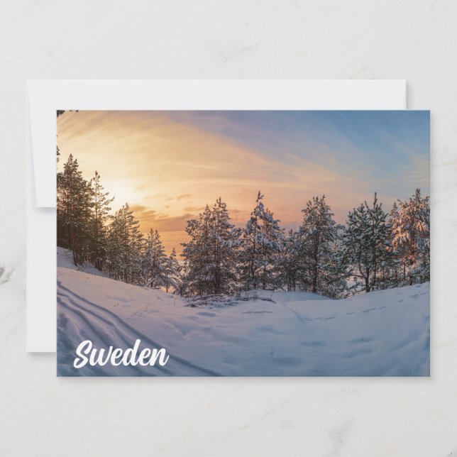 Coucher de soleil sur la forêt gelée de neige près (Devant)