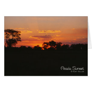 Coucher de soleil sur l'acacia
