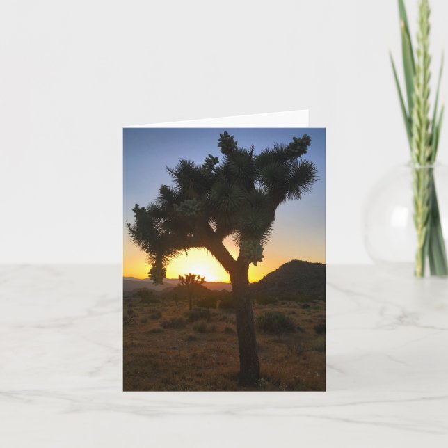 coucher de soleil sur l'arbre joshua #3 carte pour (Devant)
