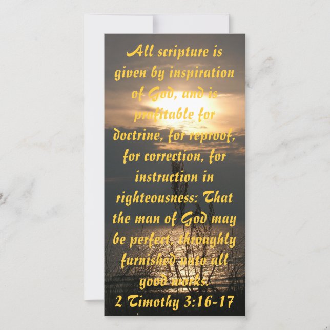 Coucher de soleil sur le lac Michigan Signet d'imp (Devant)