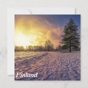 Coucher de soleil sur le parc d'hiver enneigé