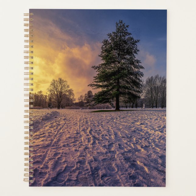 Coucher de soleil sur le parc d'hiver enneigé (Devant)