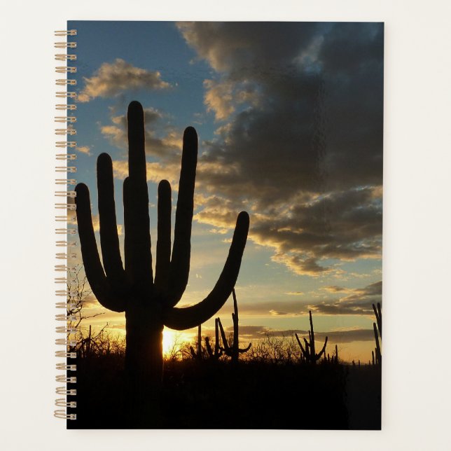 Coucher de soleil sur Saguaro II Paysage du désert (Devant)
