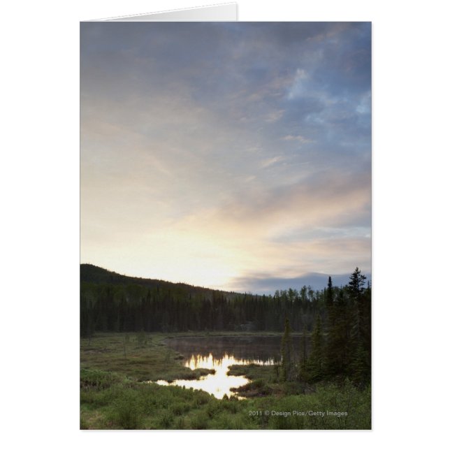 Coucher De Soleil Sur Un Étang Bruyant (Devant)