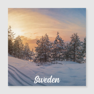Coucher de soleil sur une forêt de neige gelée prè