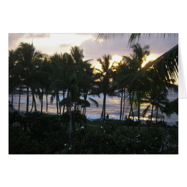 Coucher de soleil tropical (Devant horizontal)