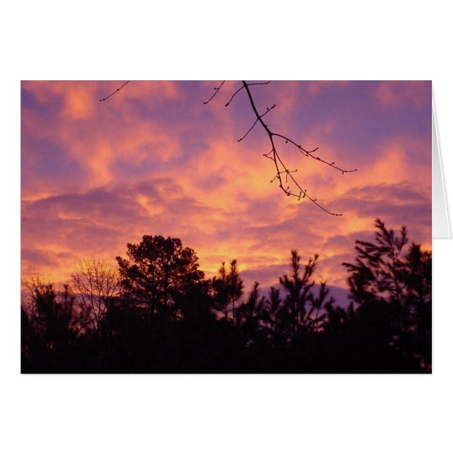 Coucher du soleil (Devant horizontal)