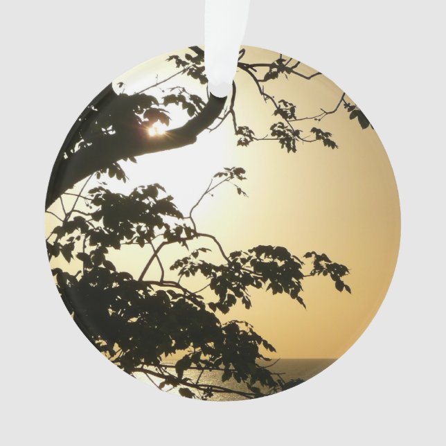 Coucher du soleil à travers les arbres II Photogra (devant)